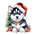 Siberian Husky Christmas puppy watercolor Royalty Free Stock Photo